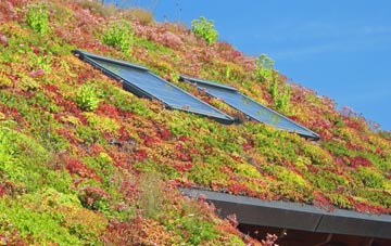 Stokegorse living roof systems